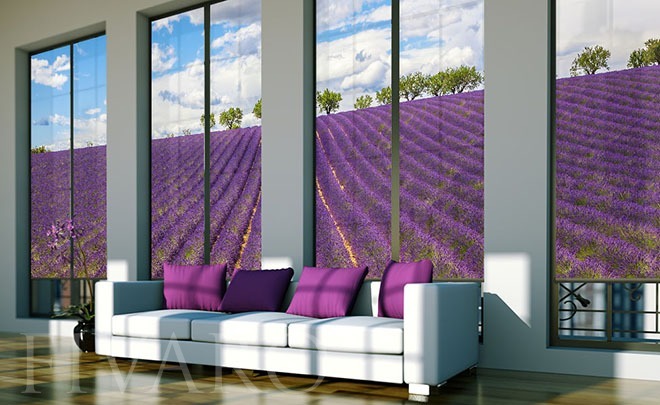 Lavendelfeld-landschaft-fotorolety-fivaro